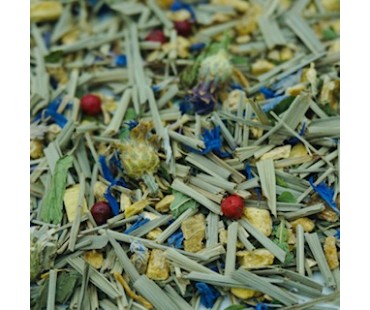 Kräutertee Ginger Lemon